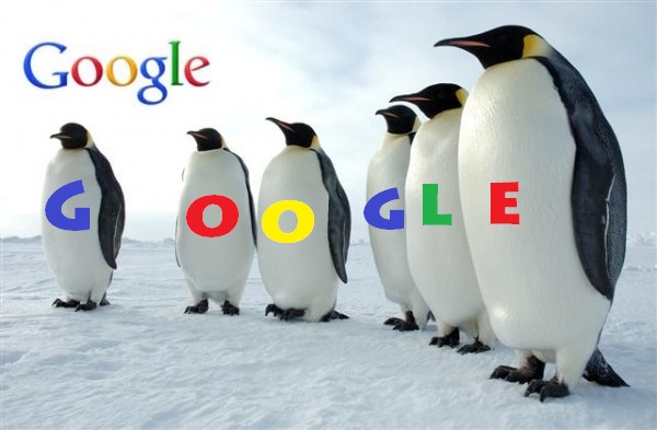 google penguin udate