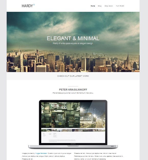 wordpress company profile theme