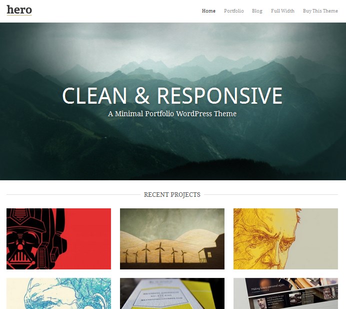 wordpress theme for website