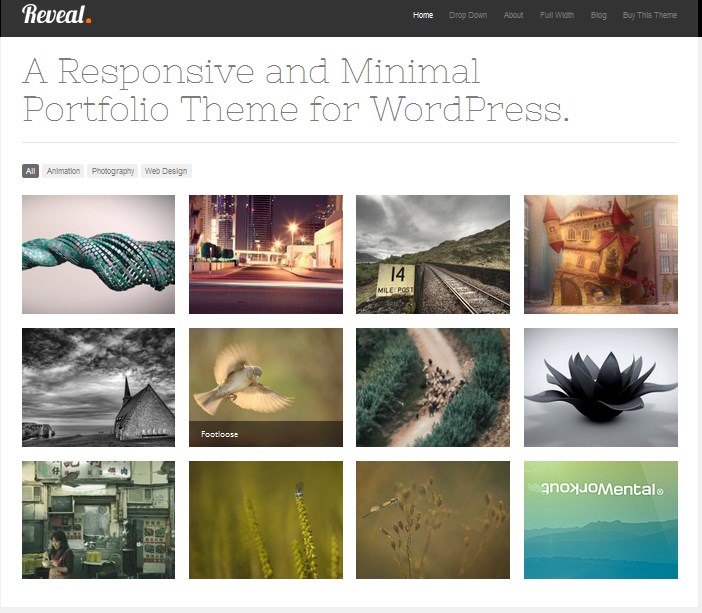 best themetrust wp theme