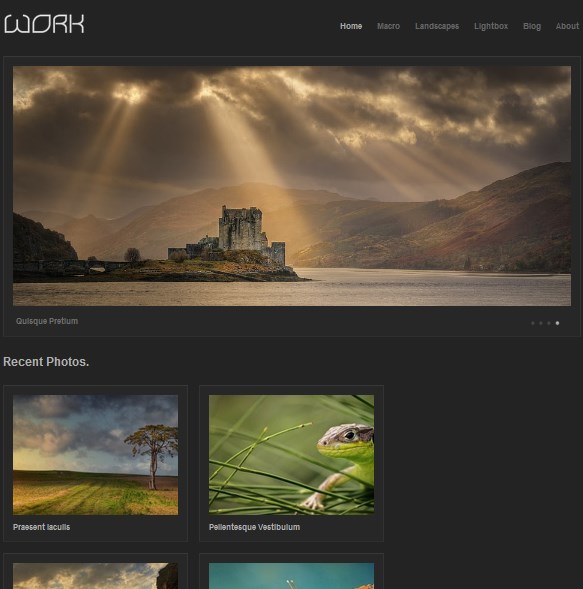 wp simple portfolio theme