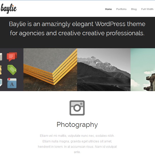 wordpress company profile theme