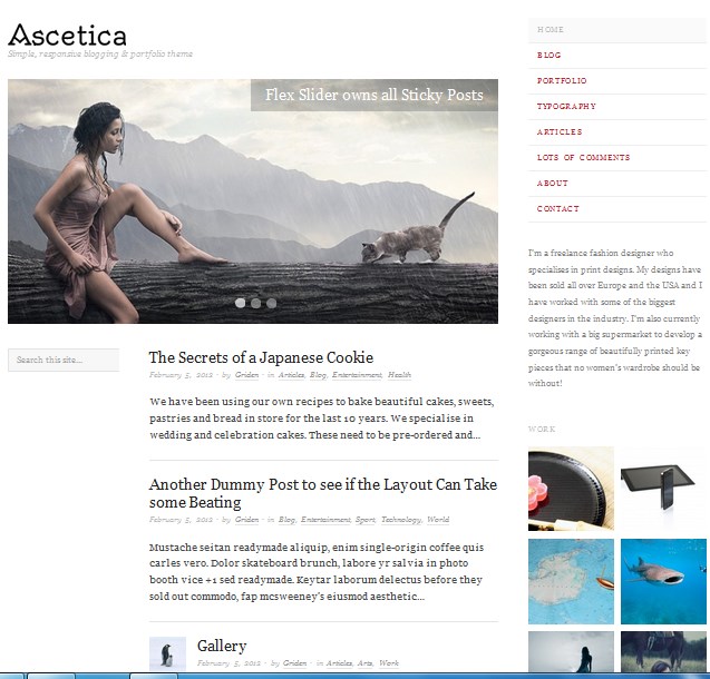 free wordpress theme