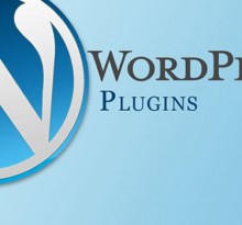 WordPress Review Plugin