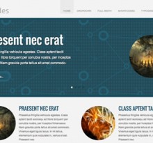 best portfolio theme