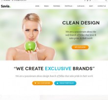 wordpress themes for busienss website